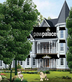 Paw Palace